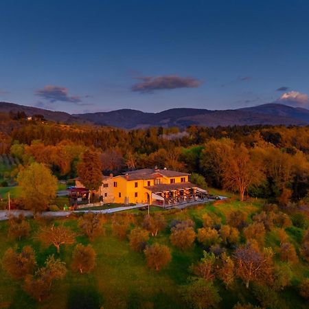 Tenuta Risalpiano Pelago Exterior foto