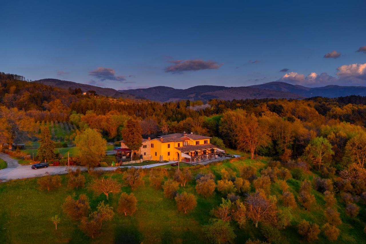 Tenuta Risalpiano Pelago Exterior foto