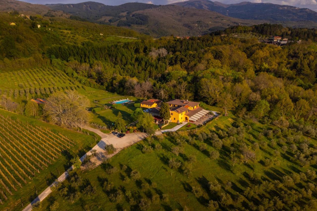 Tenuta Risalpiano Pelago Exterior foto