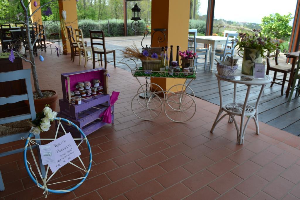 Tenuta Risalpiano Pelago Exterior foto